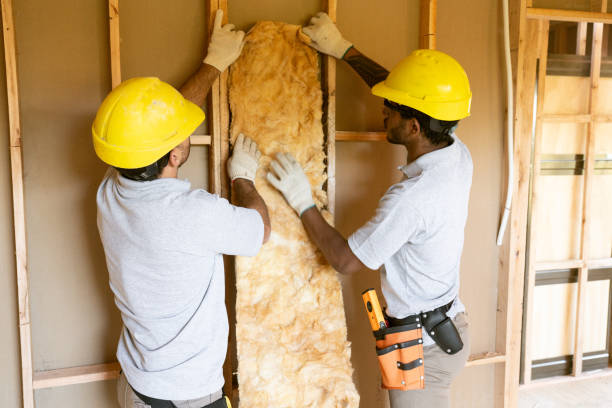 Professional Insulation Contractor in Cascade, ID